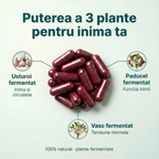 CardioForte - Susține funcția cardiovasculară