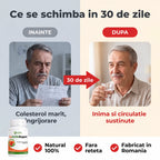 CoActiv Suport - Sprijin natural pentru colesterol și circulație