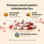 CoActiv Suport - Sprijin natural pentru colesterol și circulație