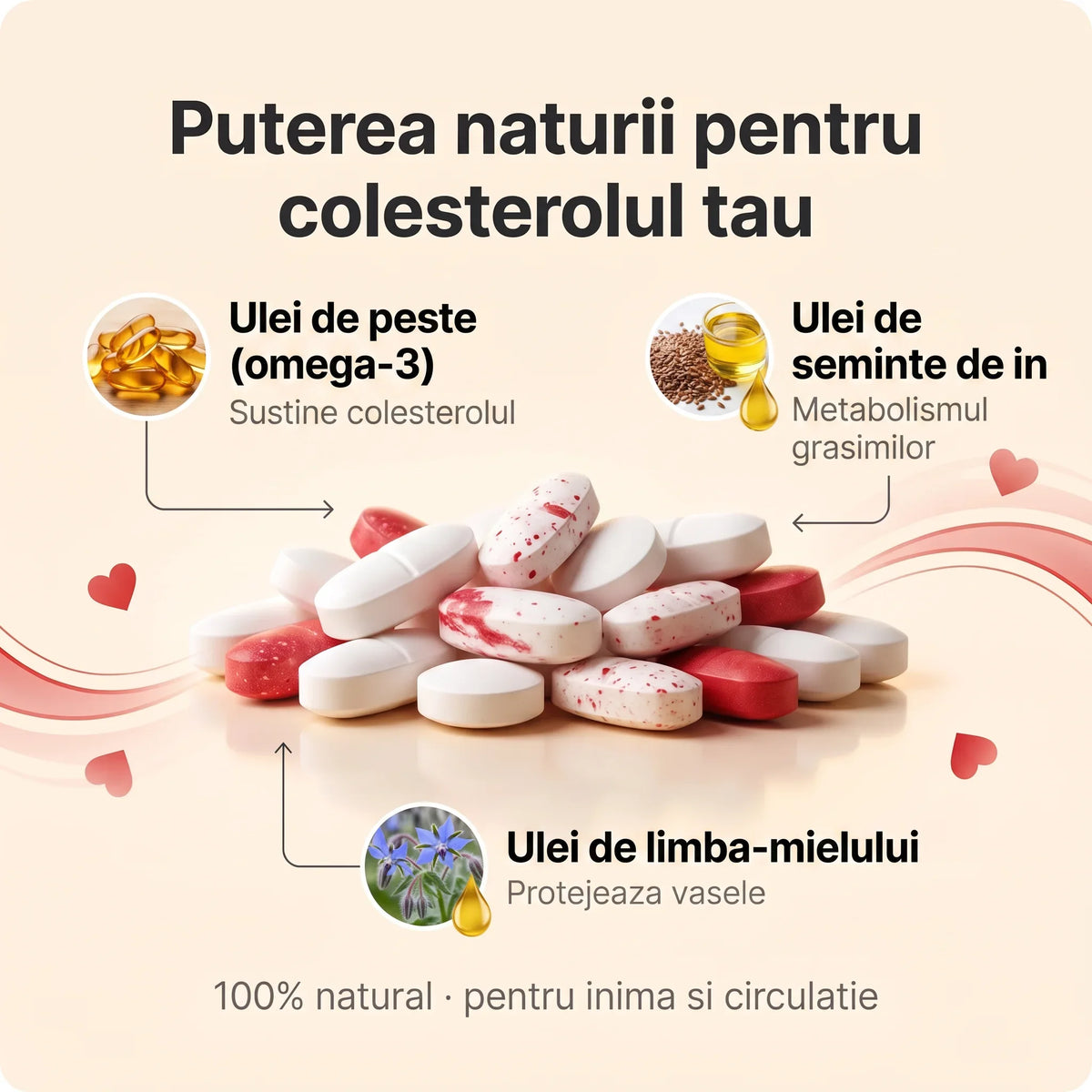 CoActiv Suport - Sprijin natural pentru colesterol și circulație