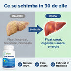 FicatProtect - Ficat sănătos și digestie ușoară