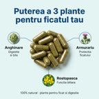 FicatProtect - Ficat sănătos și digestie ușoară