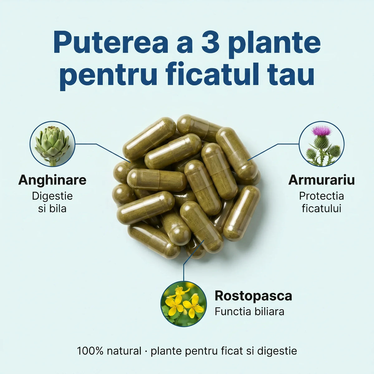 FicatProtect - Ficat sănătos și digestie ușoară