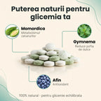 GlucoControl - Menține glicemia în limite normale
