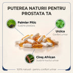 ProstatoForte - Confort urinar și sănătatea prostatei