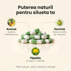 SlimNatur - Sprijin pentru siluetă și vitalitate